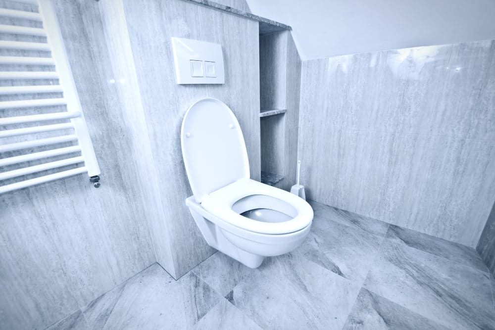 High-Tech Toilets