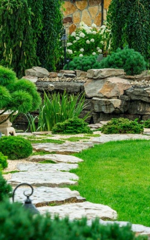 Bay Area Landscaping
